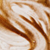 Active Luxe shimmer tanning oil